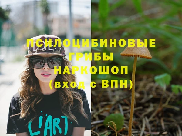 прущий лед Лиски