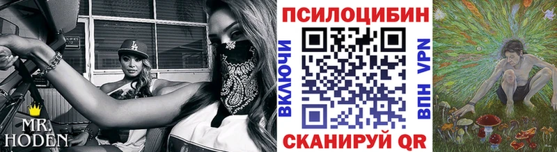 Купить где  Окуловка  Галлюциногенные грибы мицелий 